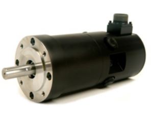 M4-295X Bürstenbehaftete DC-Motoren